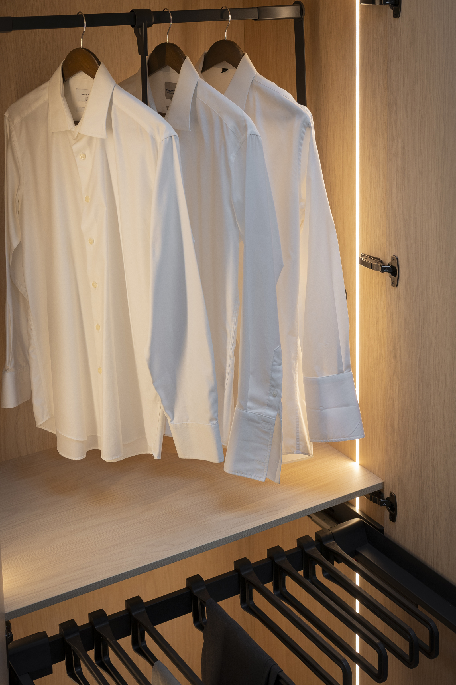 Wardrobe storage accessories including trouser pull out and wardrobe lift